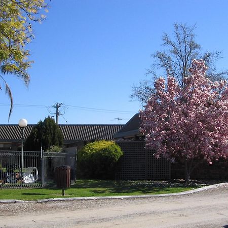 Belvoir Village Motel & Apartments โวดองกา ภายนอก รูปภาพ
