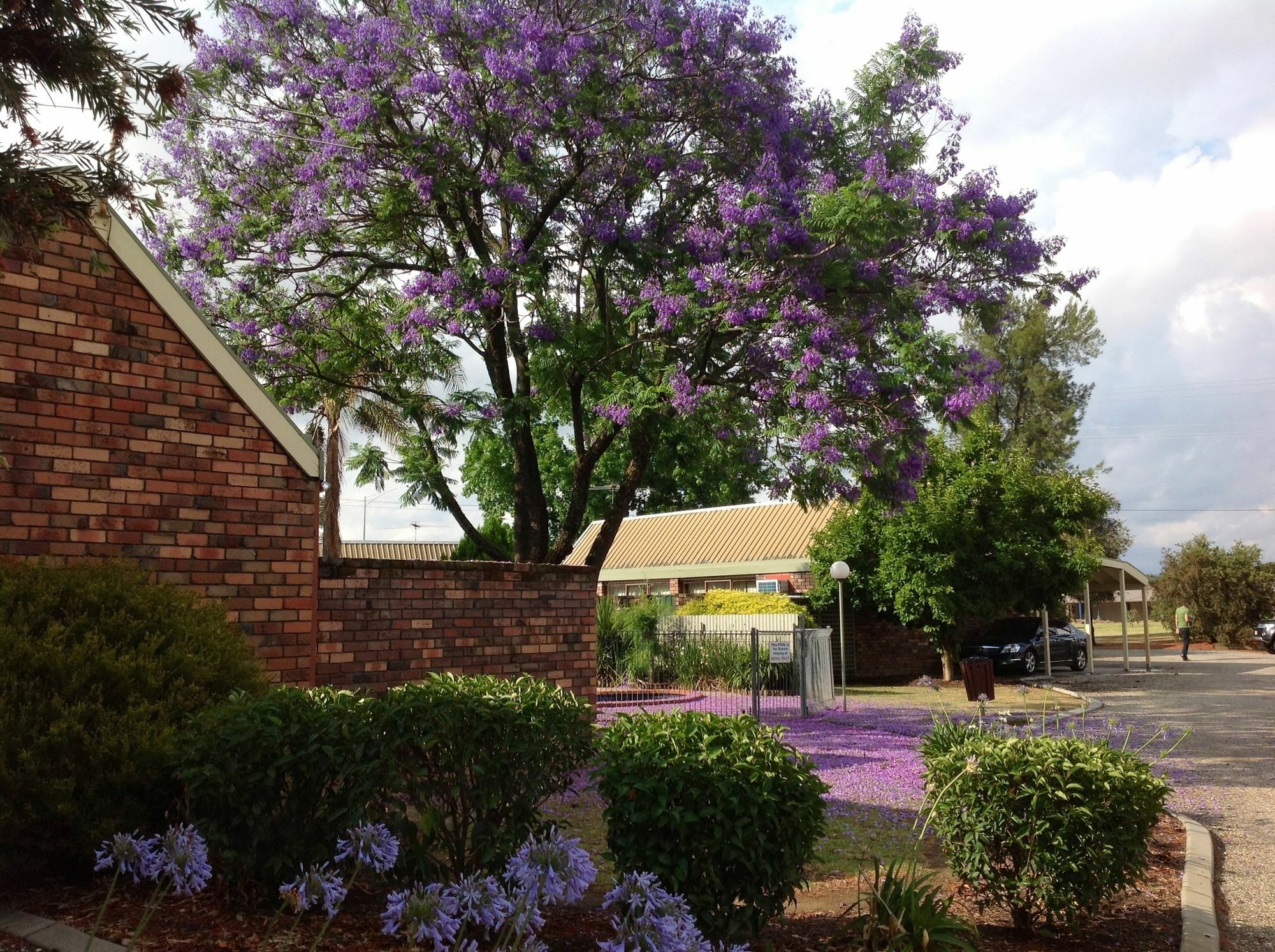 Belvoir Village Motel & Apartments โวดองกา ภายนอก รูปภาพ
